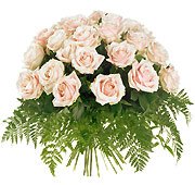 Bukiet 25 Róż Kremowych Poczta Kwiaty Kwiatowa