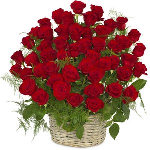 Walentynki Kosz 50 Róż Czerwonych